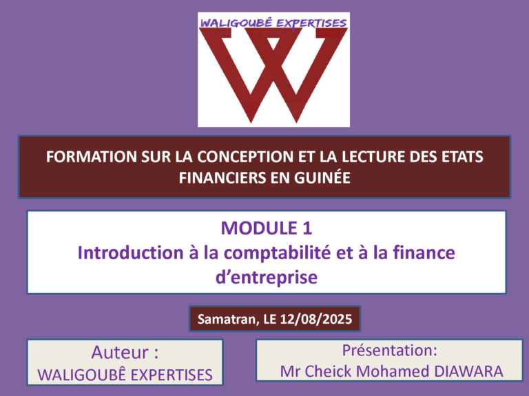 INITIATION A LA COMPTABILITE (Modul 1)